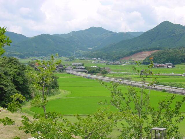 夏の蔵持山遠景