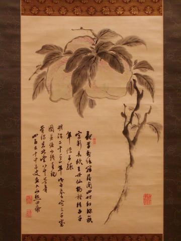 美術系資料
