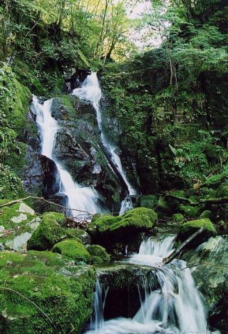 祓川上流の無名の滝