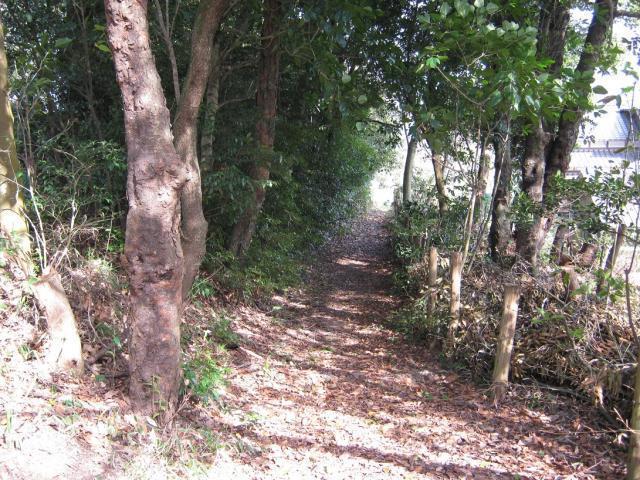 山中に残る遺跡（西海道豊前路／官道）