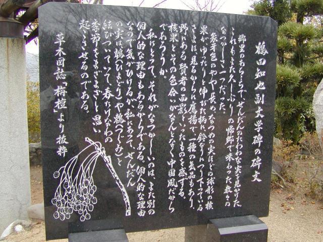 鶴田知也文学碑（鶴田文「栴檀」から）